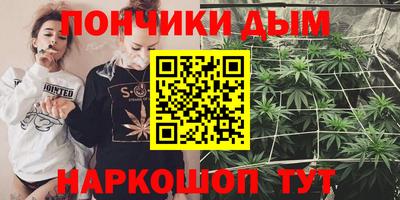 шишки Саяногорск