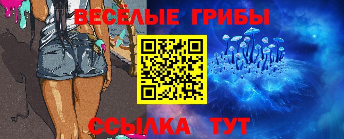 Псилоцибиновые грибы мицелий Бердск