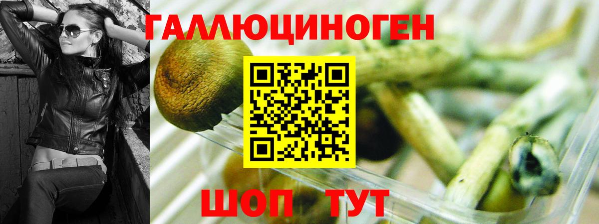 Псилоцибиновые грибы Magic Shrooms  Вход с VPN  Бердск 
